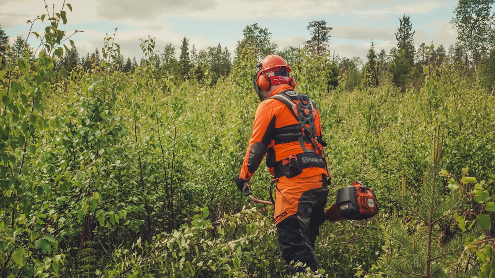 Varhaisperkaus palvelut Rovaniemellä.